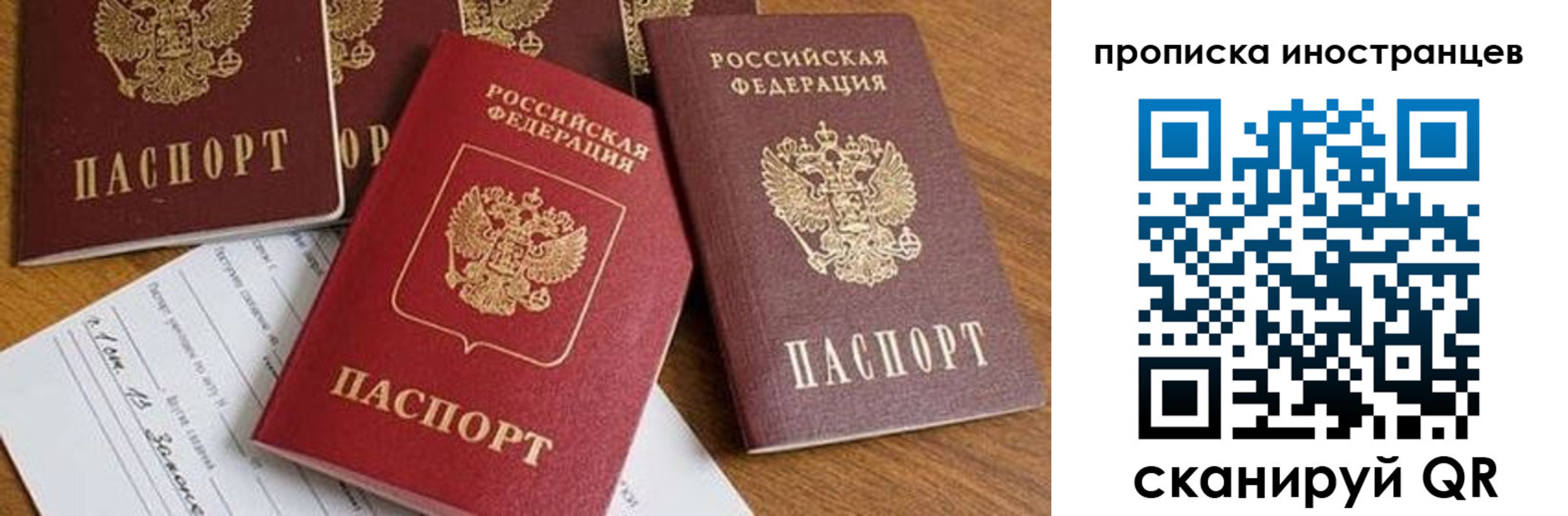 прописка в Сельцо